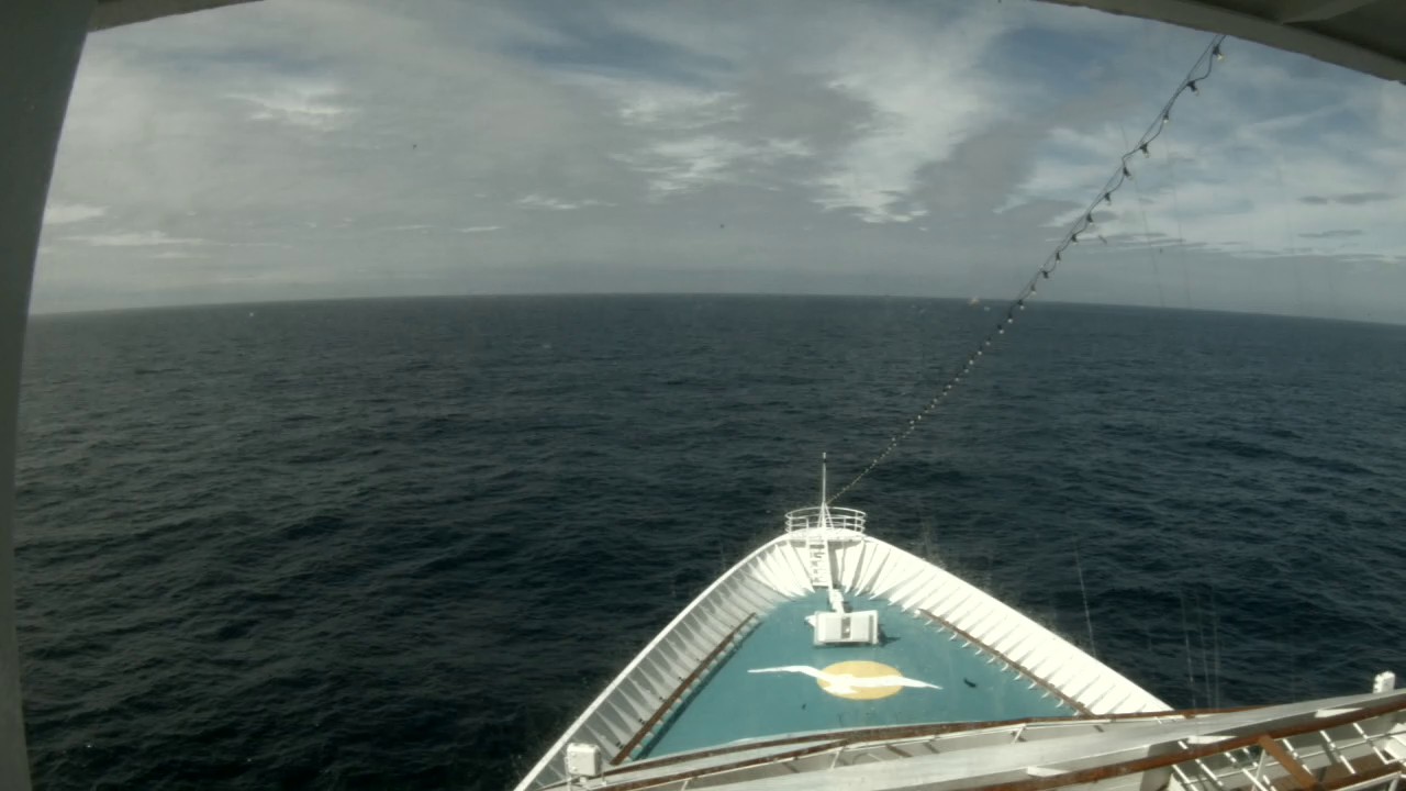 Bugcam MS Amera