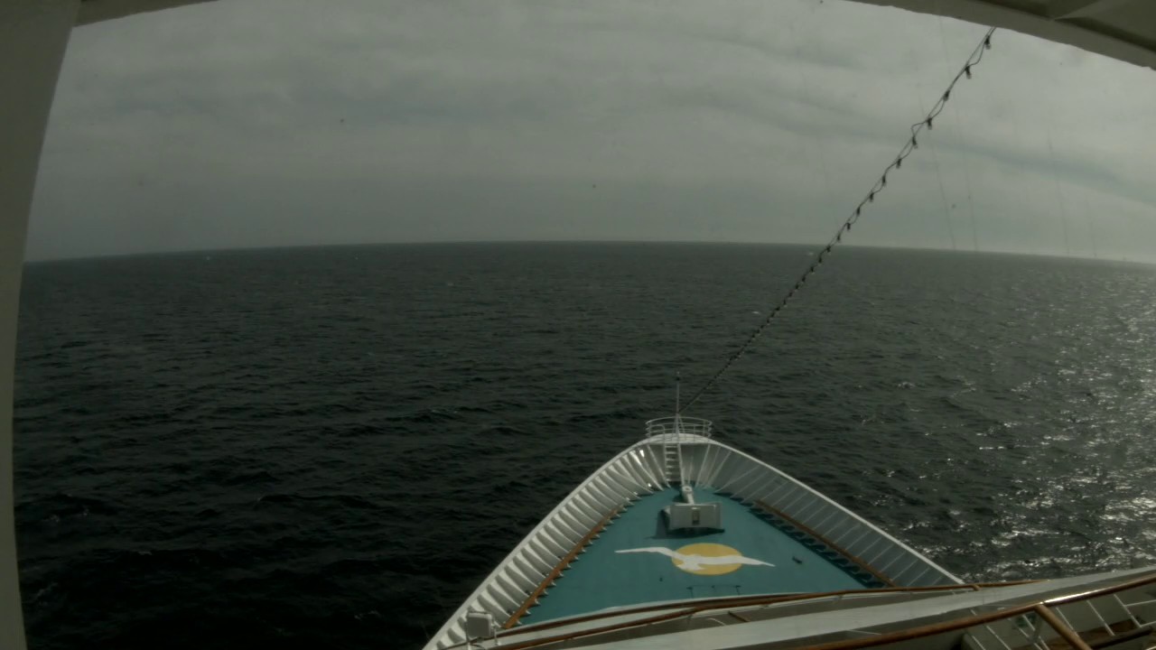 Bugcam MS Amera