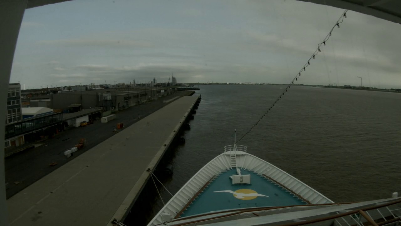 Bugcam MS Amera