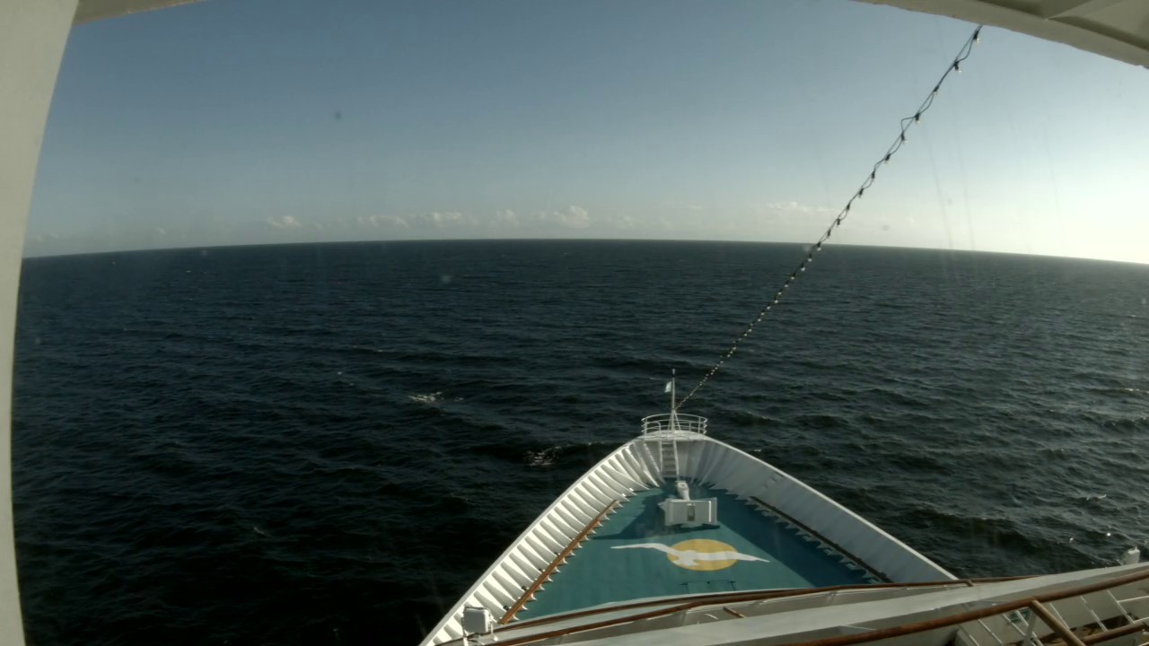 Bugcam MS Amera