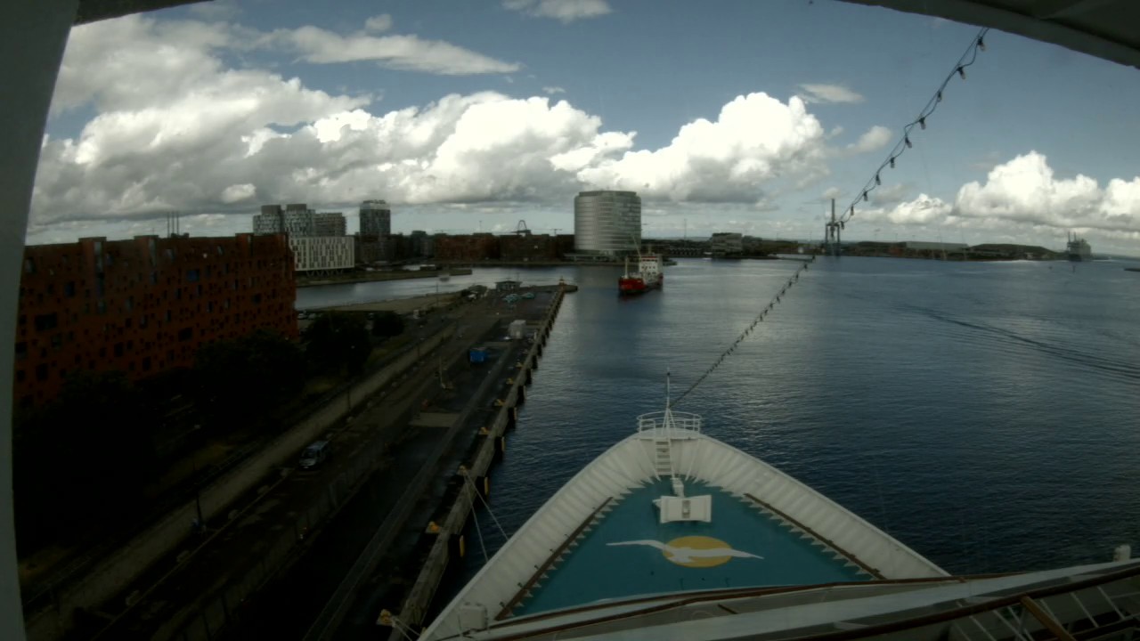 Bugcam MS Amera