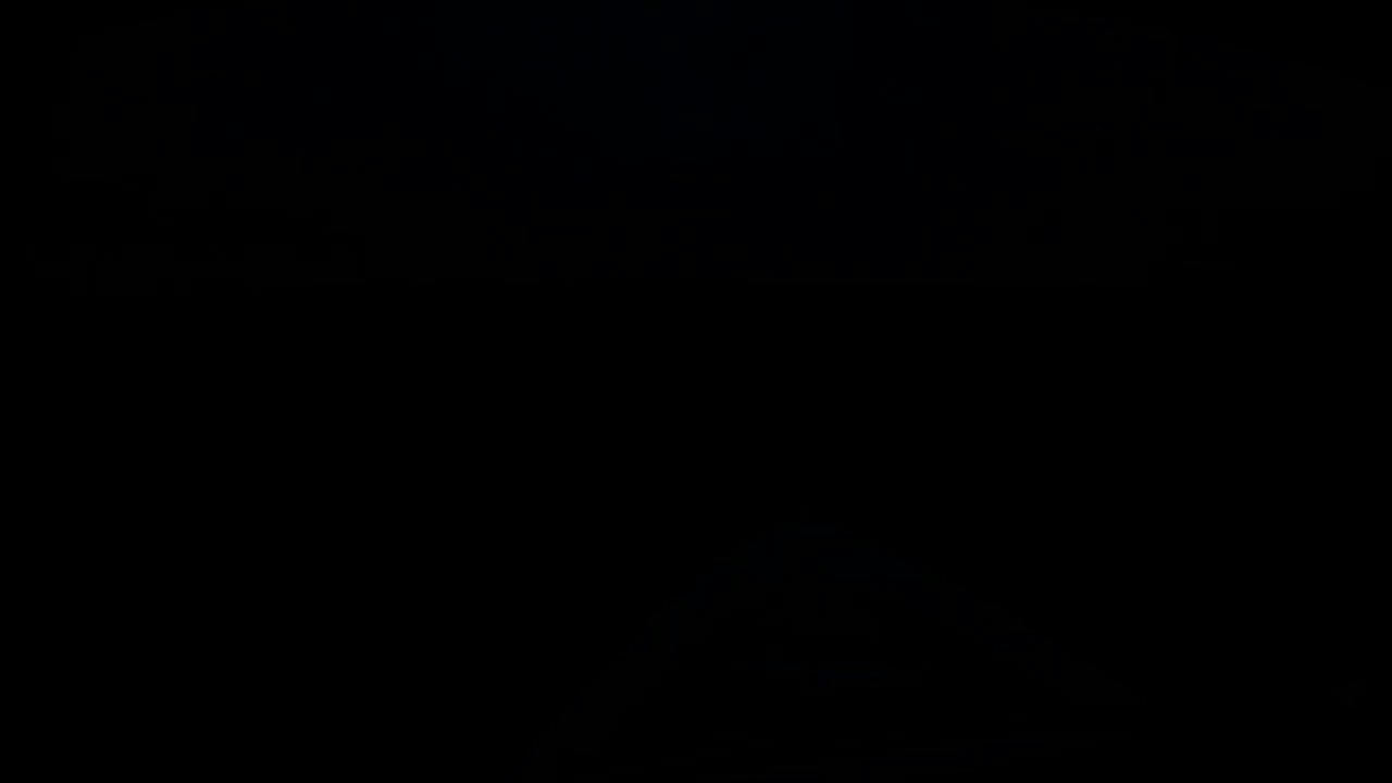 Bugcam MS Amera