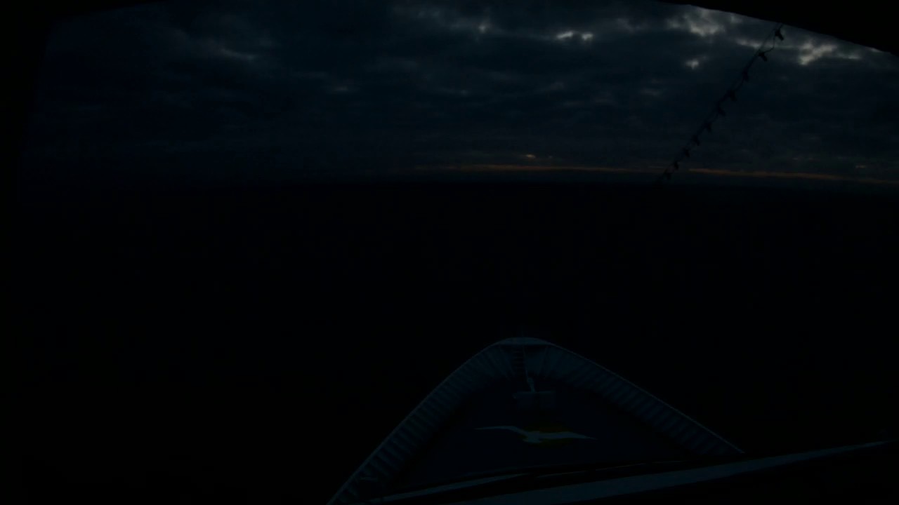 Bugcam MS Amera