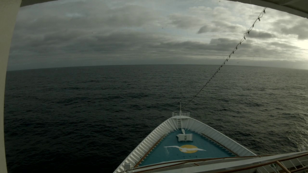 Bugcam MS Amera
