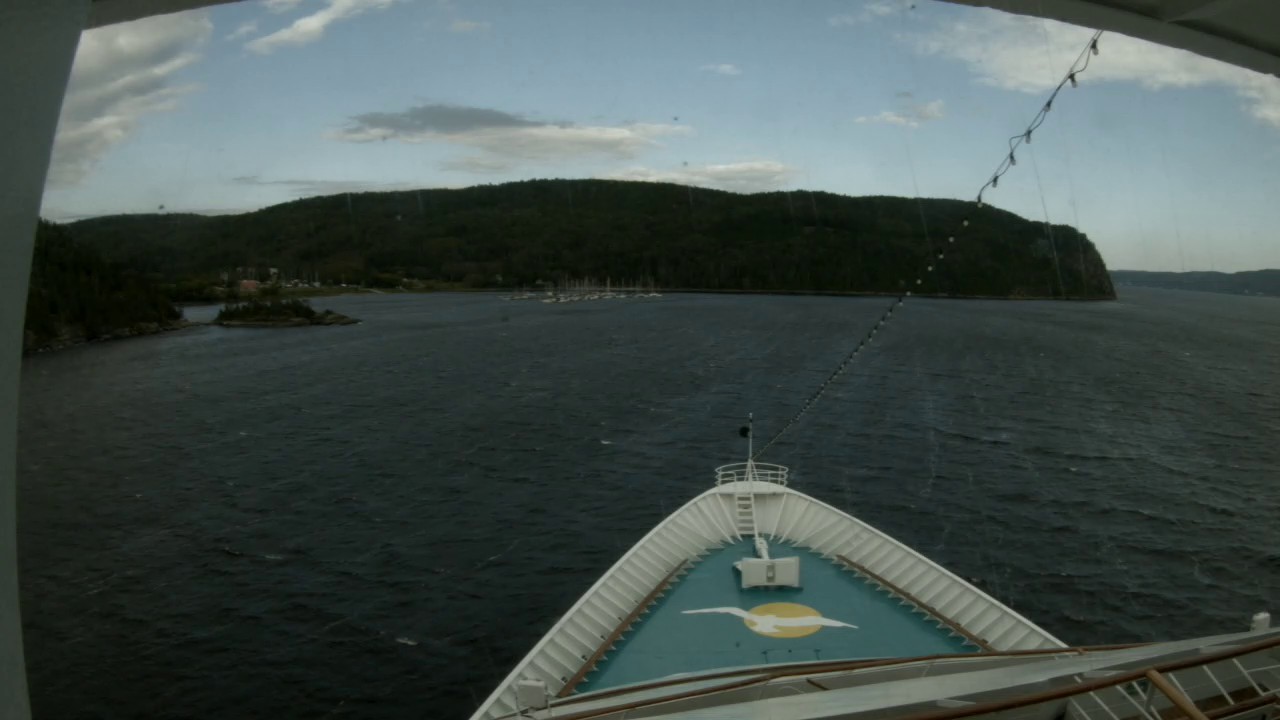 Bugcam MS Amera