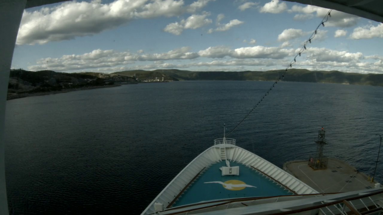 Bugcam MS Amera