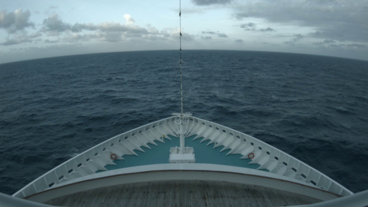 Bugcam MS Artania