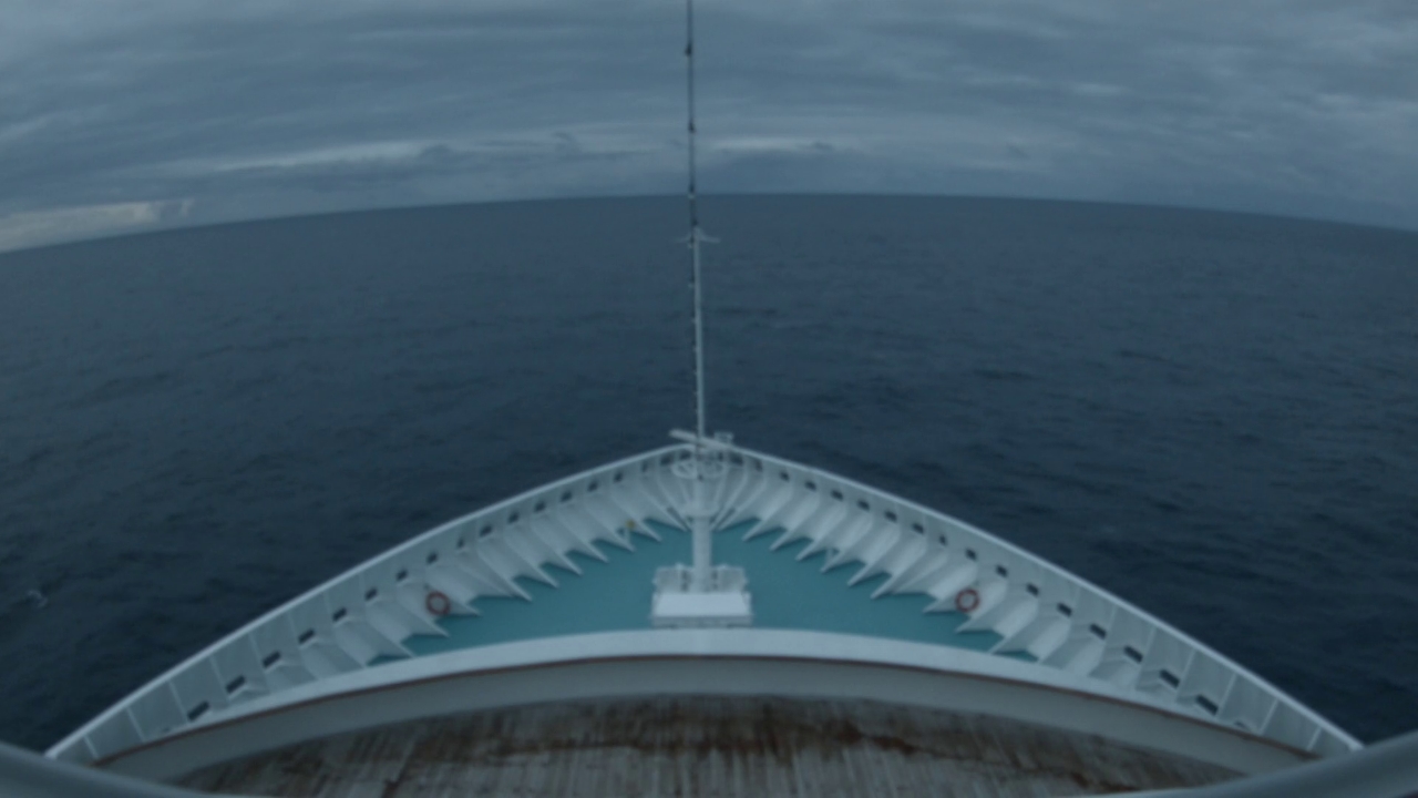 Bugcam MS Artania