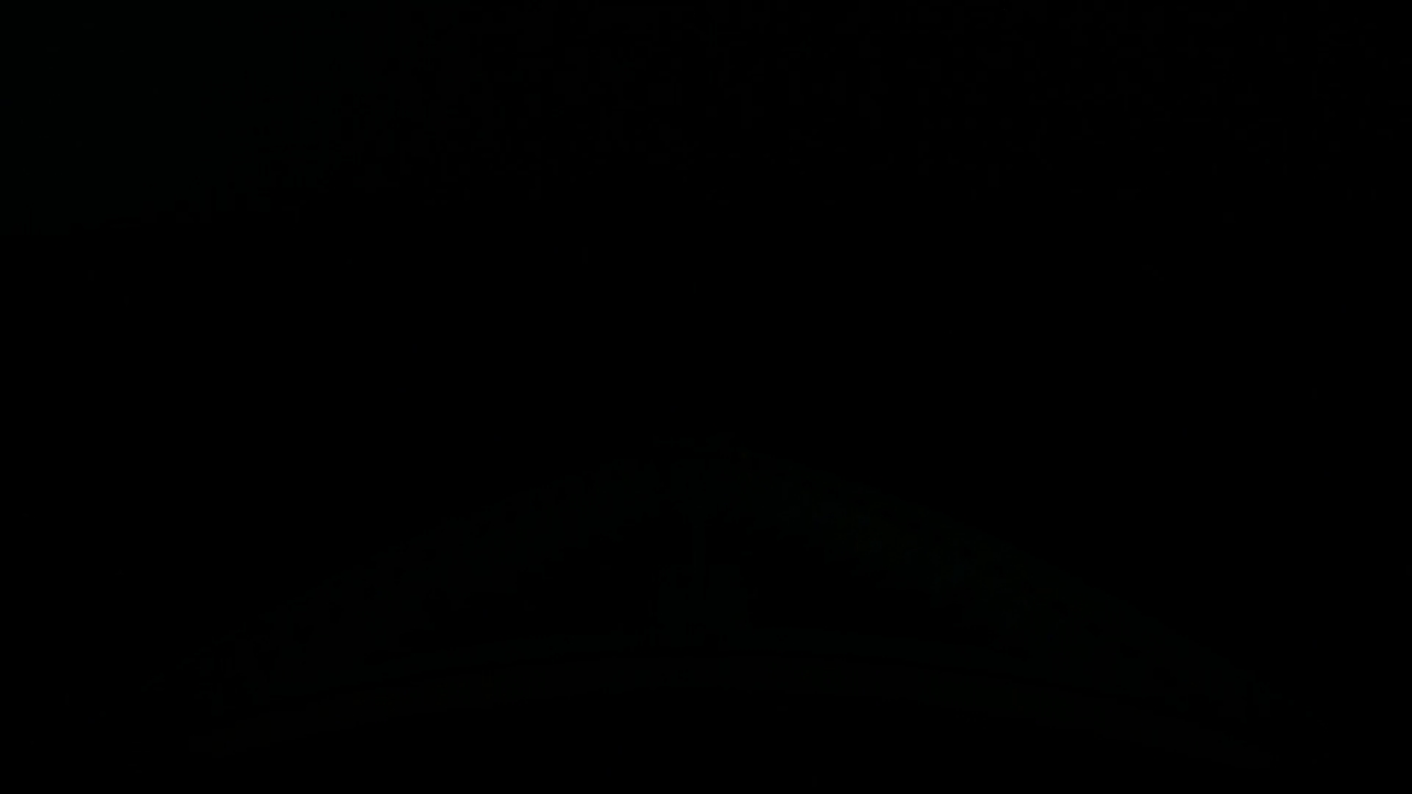 Bugcam MS Artania