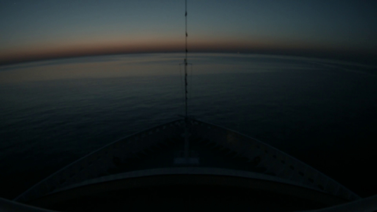Bugcam MS Artania