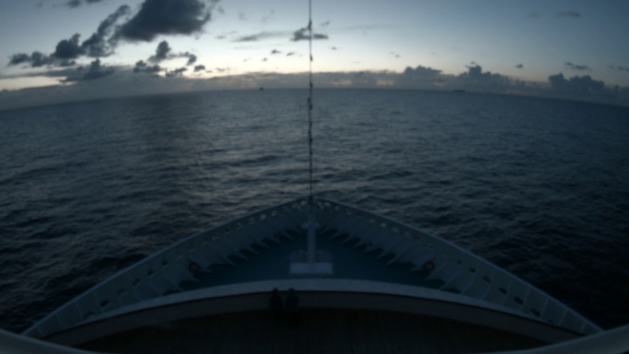Bugcam MS Artania