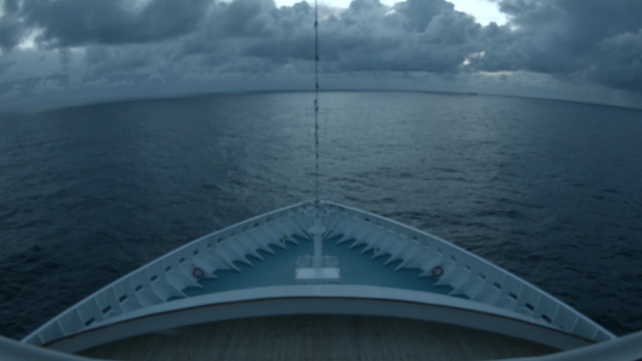 Bugcam MS Artania