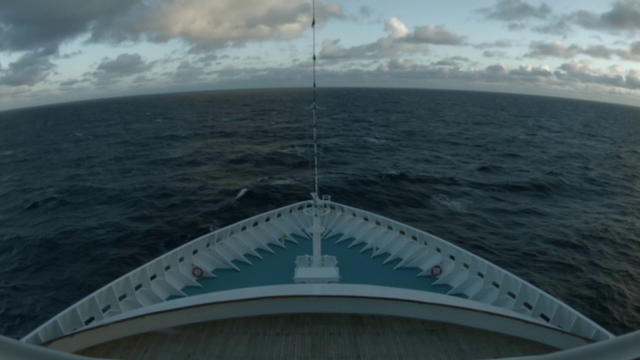 Bugcam MS Artania
