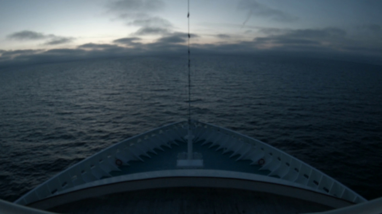 Bugcam MS Artania
