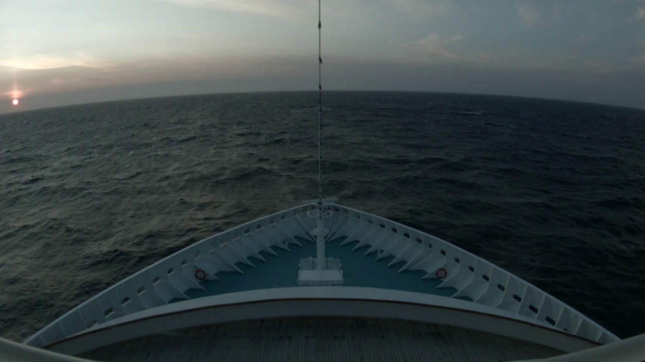 Bugcam MS Artania