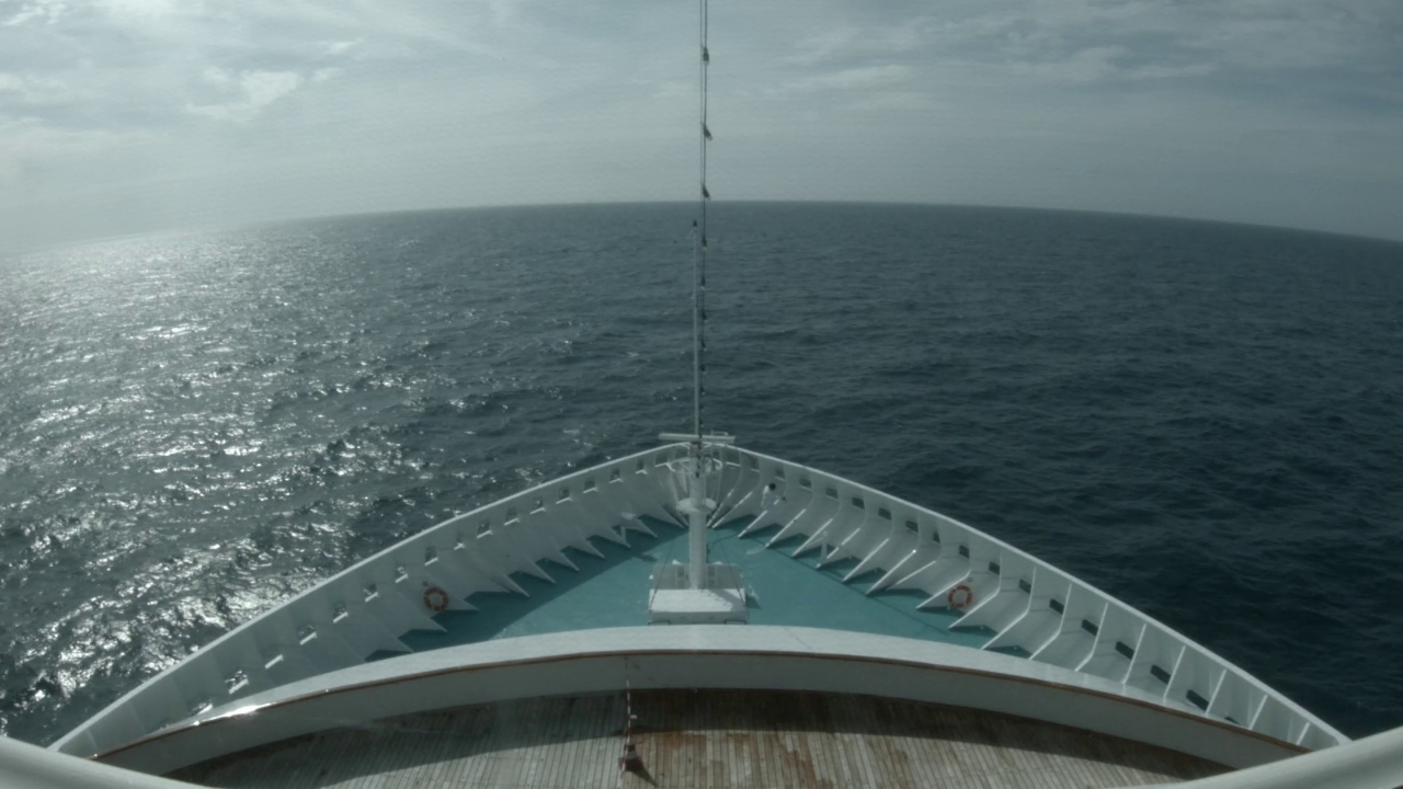 Bugcam MS Artania