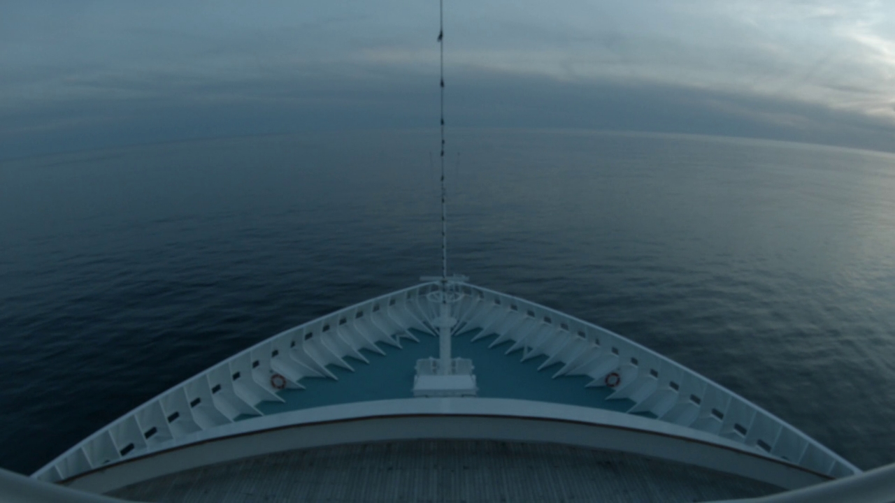Bugcam MS Artania