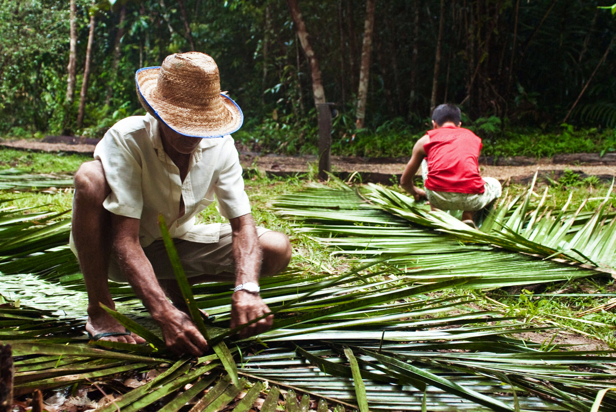 Männer flechten Babassu-Blätter für die Herstellung von Dächern