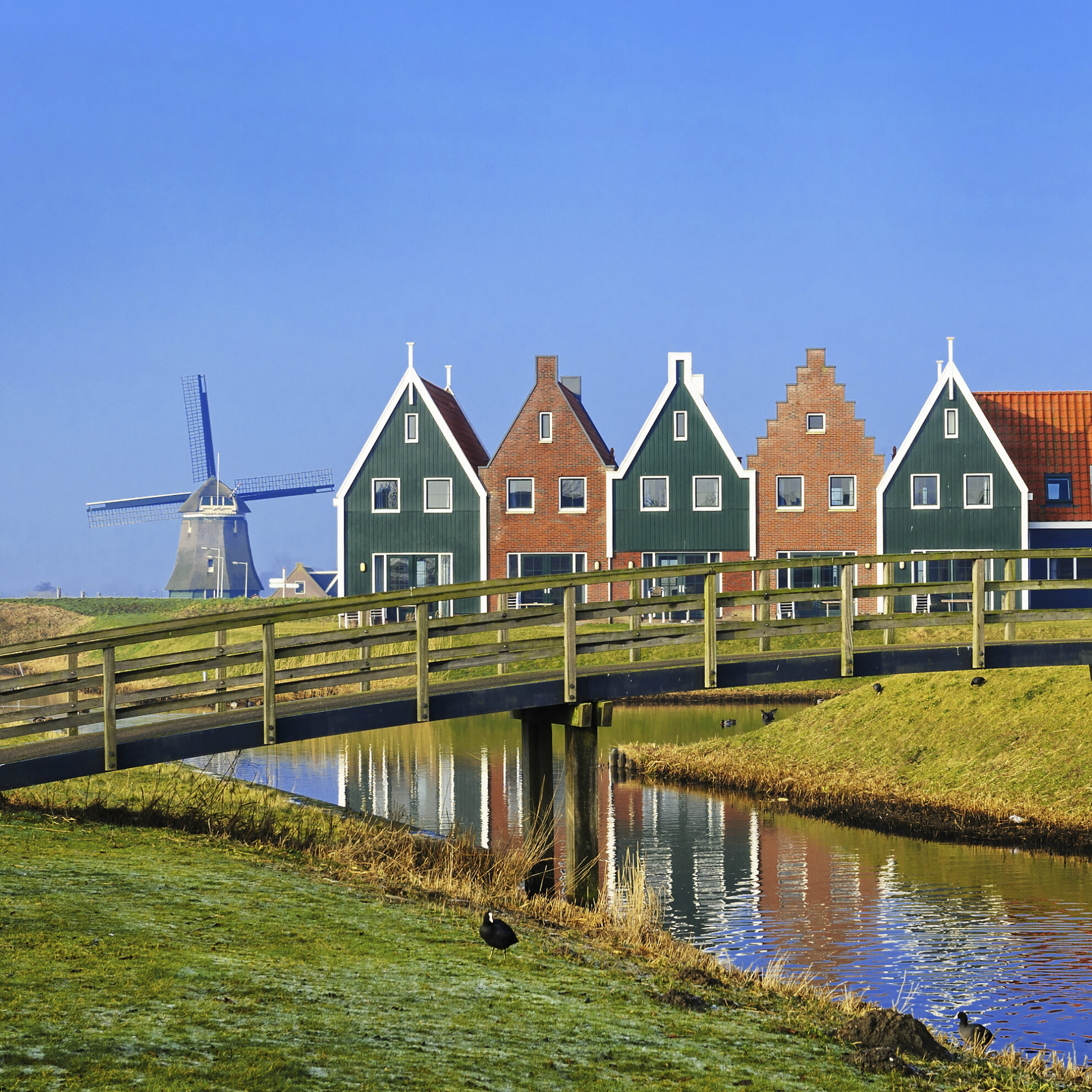 Häuser und Windmühle in Volendam, Niederlande