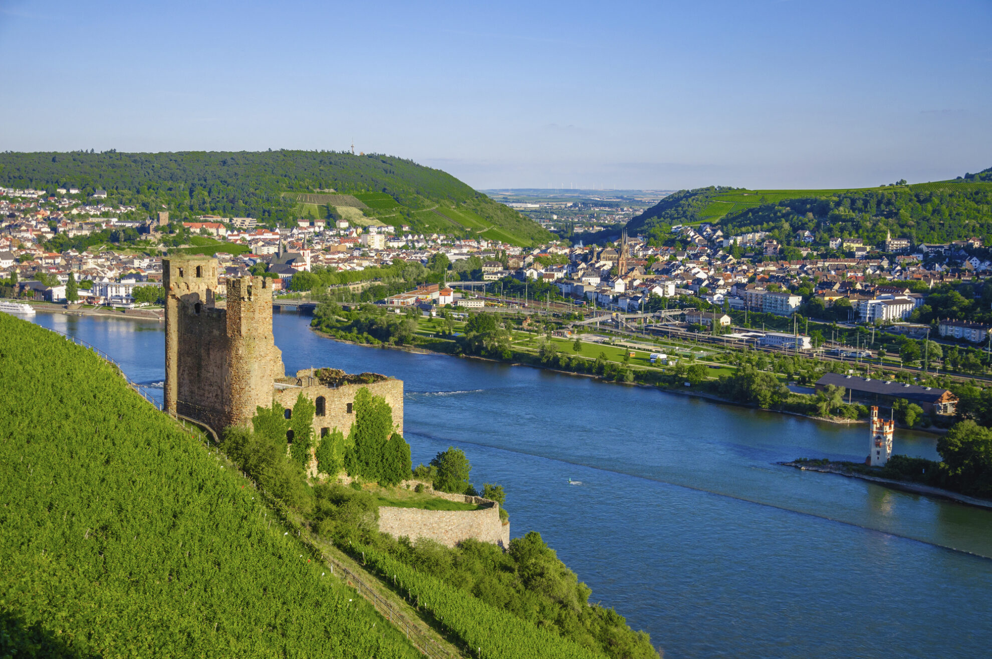 Burg Ehrenfels mit Blick auf Bingen, Deutschland