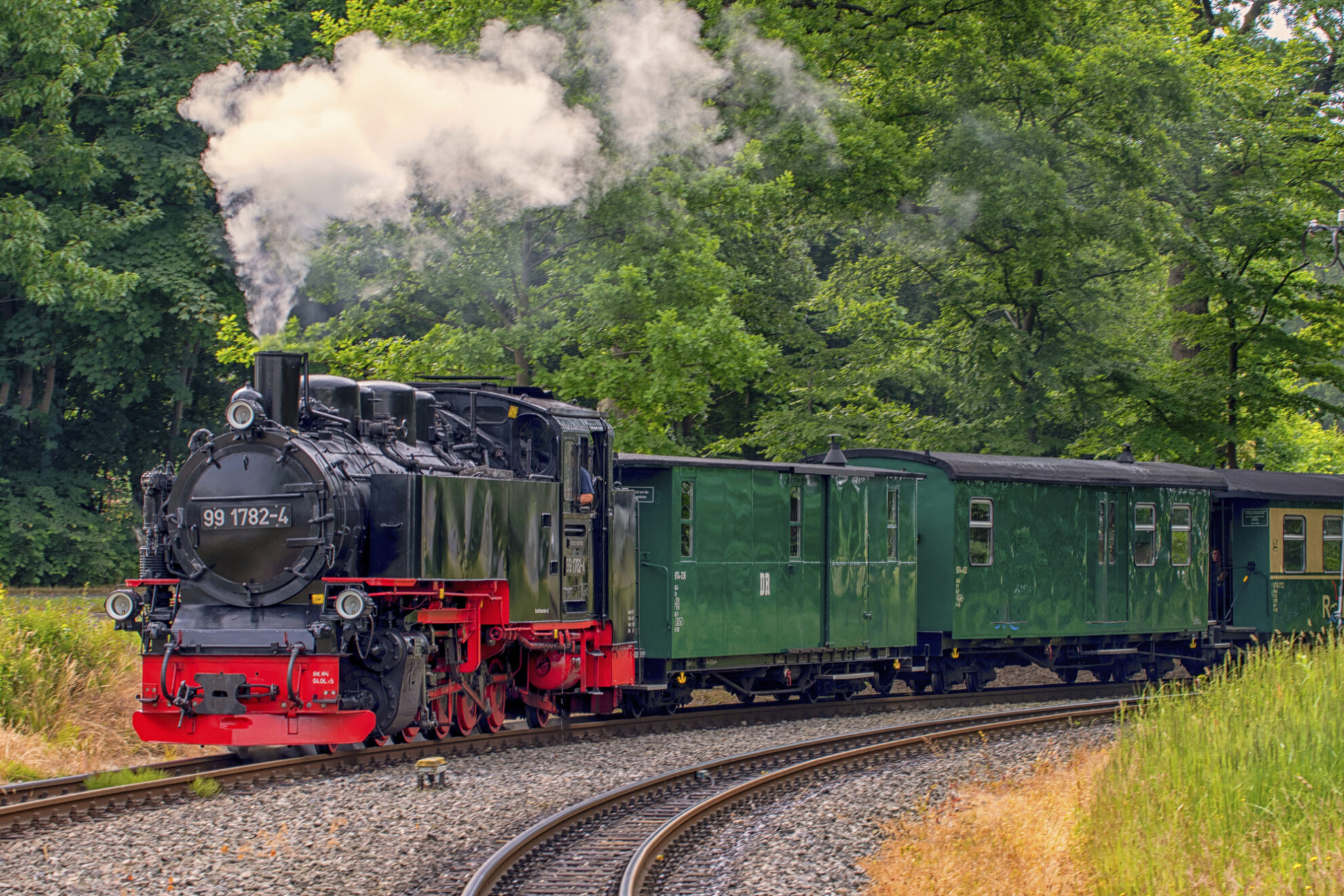 Insel Rügen, Rasender Roland