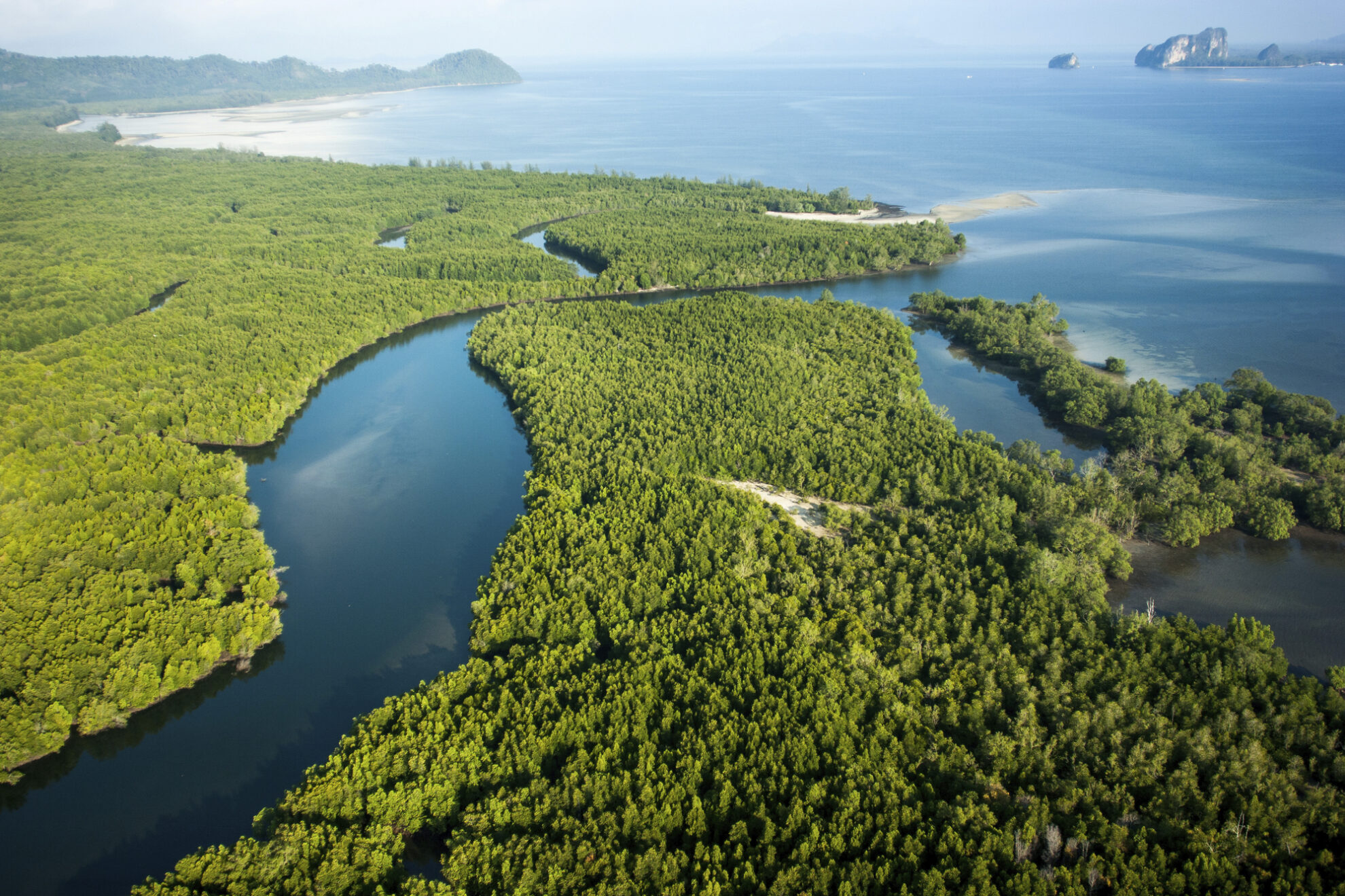 Blick über die Mangrovenwälder von Puntarenas, Costa Rica