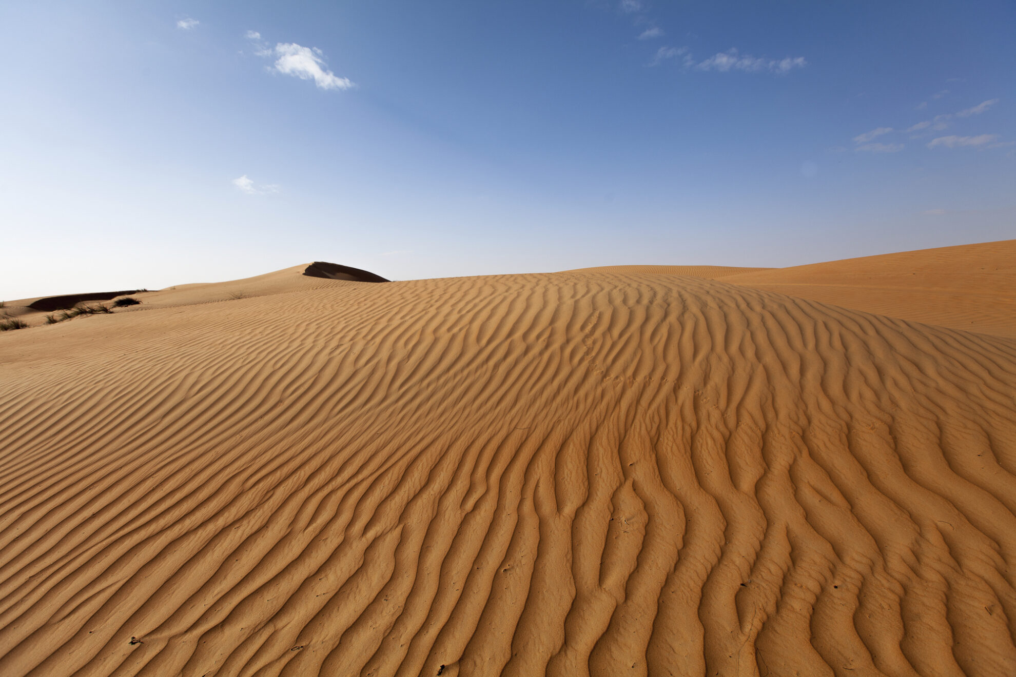 Wüste Wahiba Sands, Oman