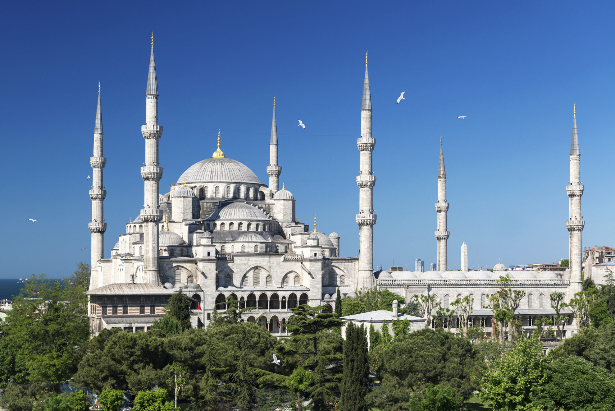 Blaue Moschee in Istanbul, Türkei