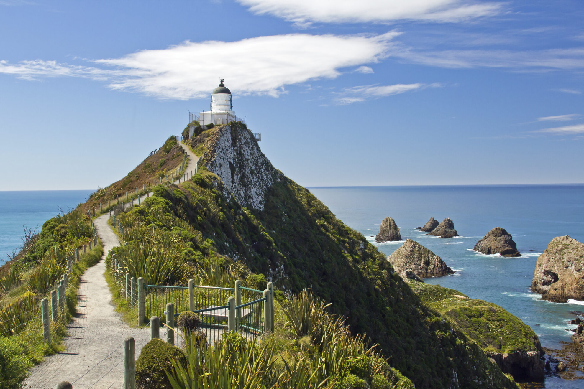 Nugget Point am Nordende der Caitlins, Neuseeland