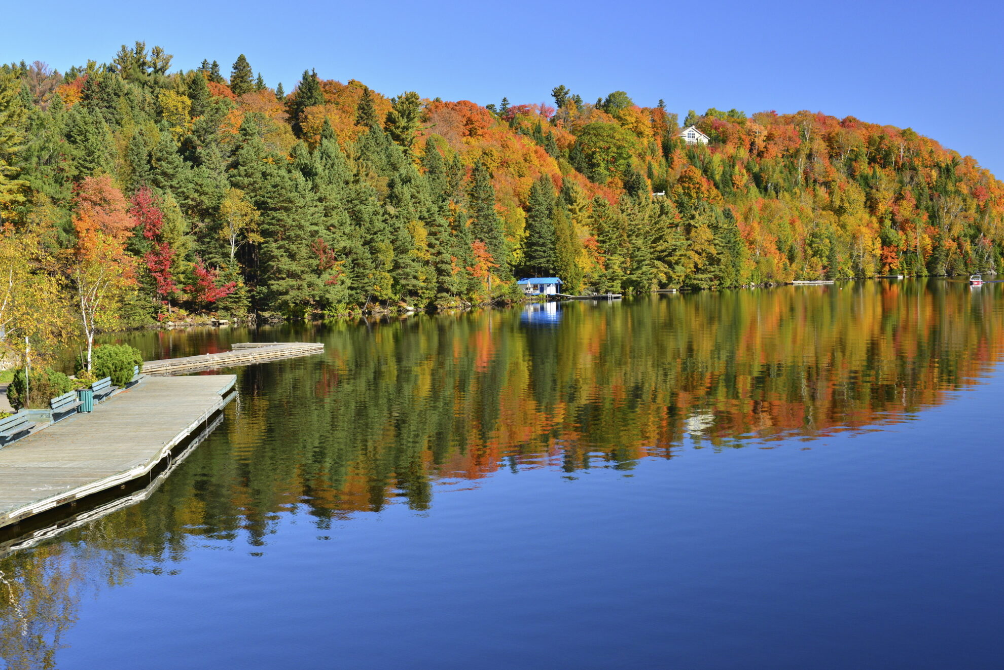 Laurentian Forest in Quebec, Kanada