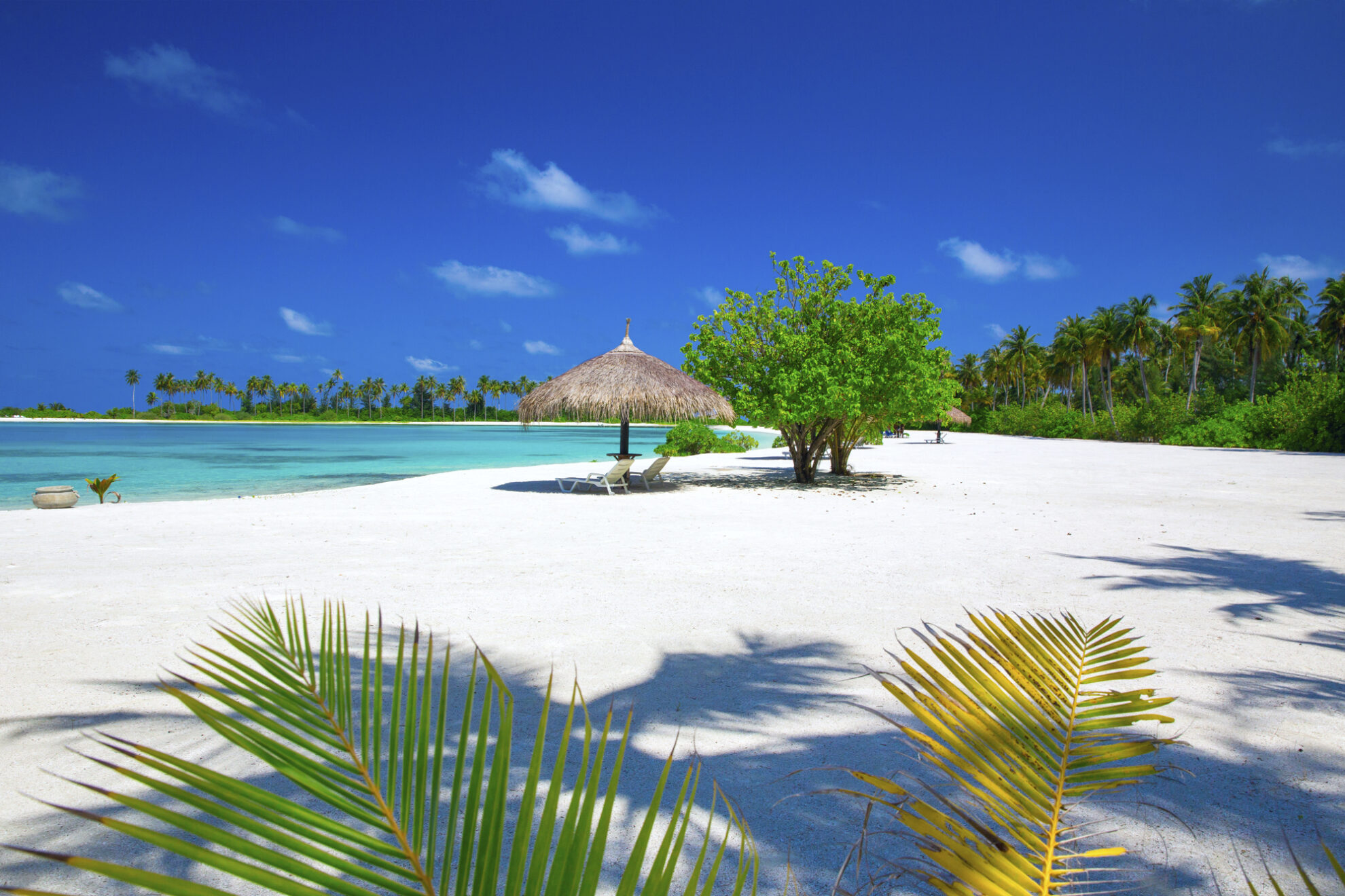 Der Strand auf den Malediven