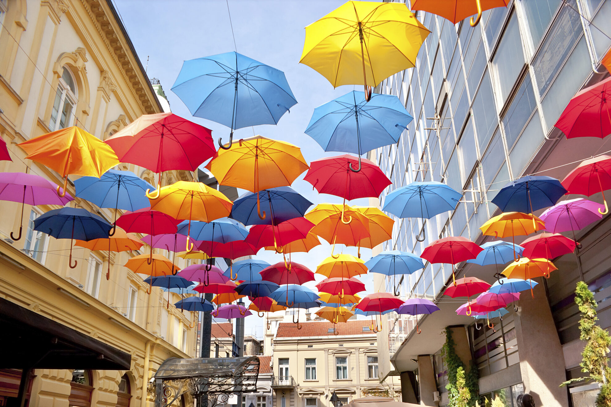 Bunte Regenschirme über der Gasse in Belgrad, Serbien
