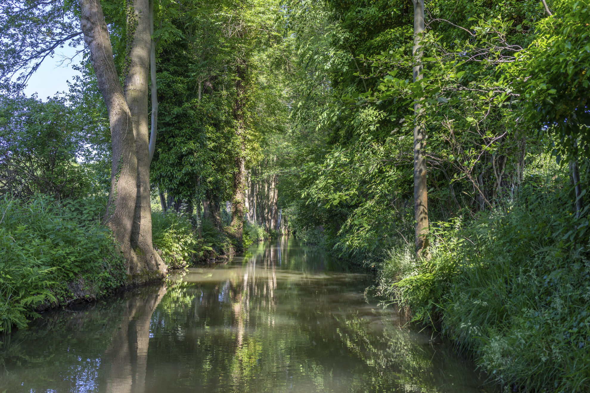 Der Spreewald im Südosten von Brandenburg, Deutschland