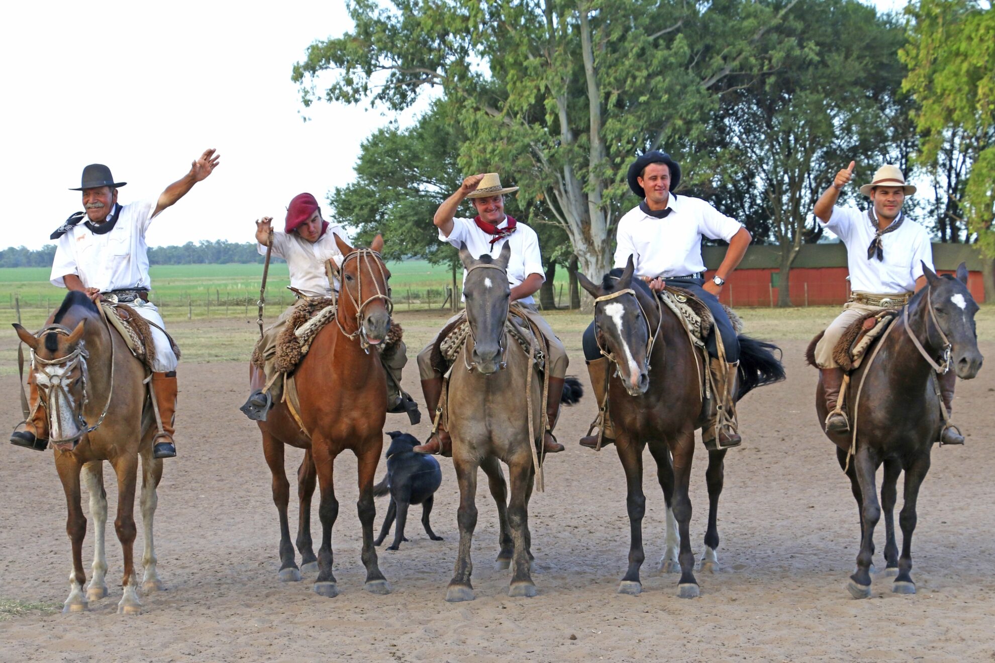Gauchos präsentieren ihr Können, Argentinien