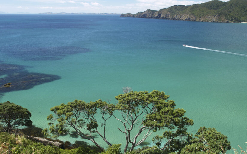 Bay of Islands in Neuseeland auf einer Kreuzfahrt entdecken