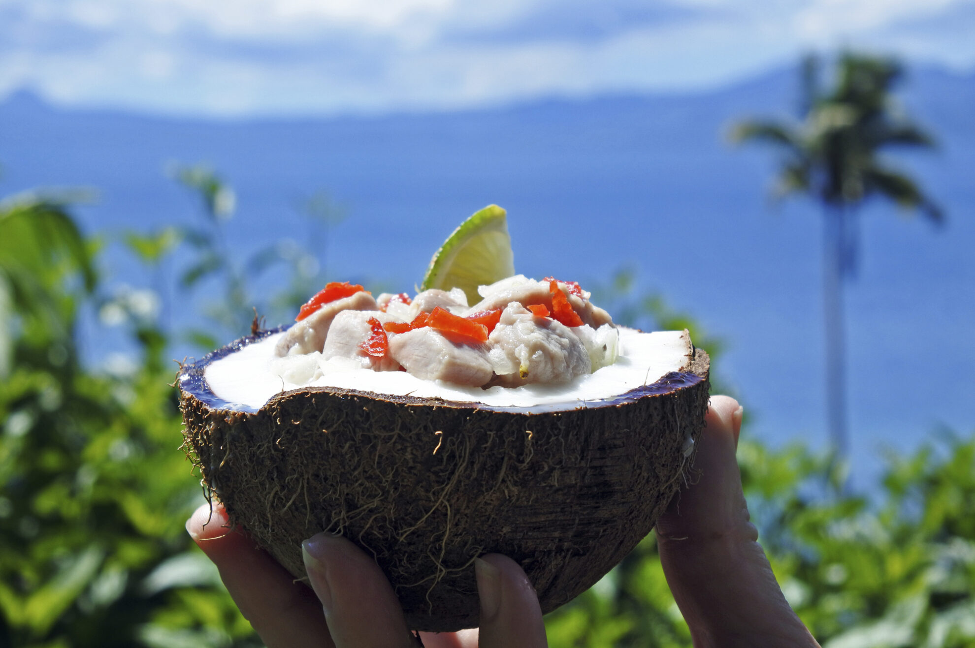 Traditionelle Kokosnuss Speise auf den Fidschi Inseln