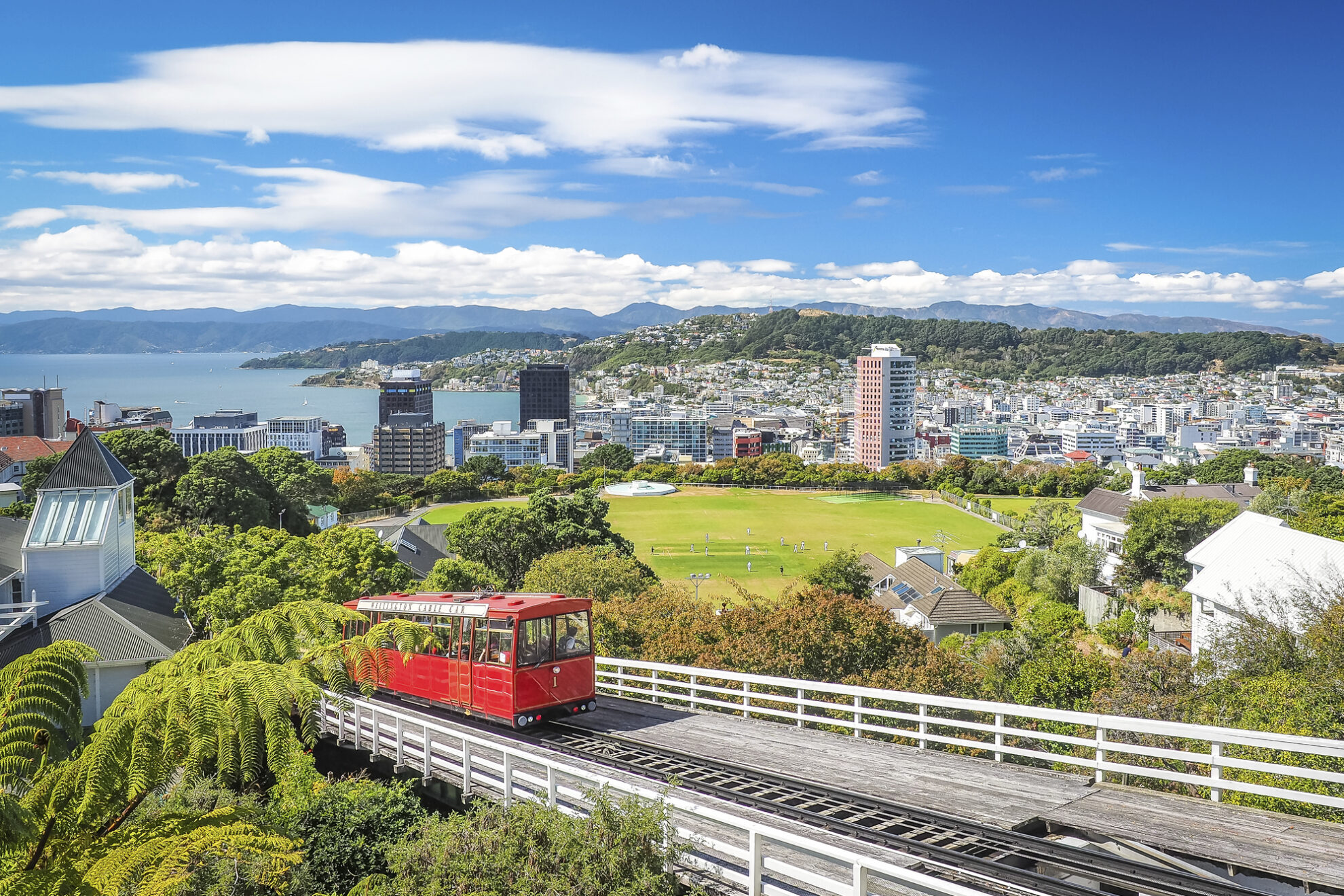 Panoramaaufnahme der Stadt Wellington in Neuseeland mit der Seilbanh im Vordergrund