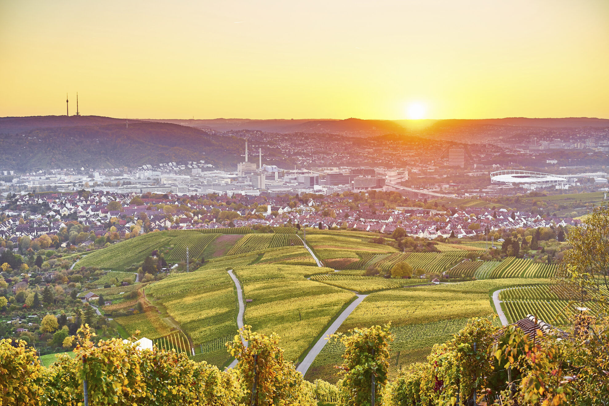 Weinberge von Stuttgart Bad-Canstatt, Deutschland