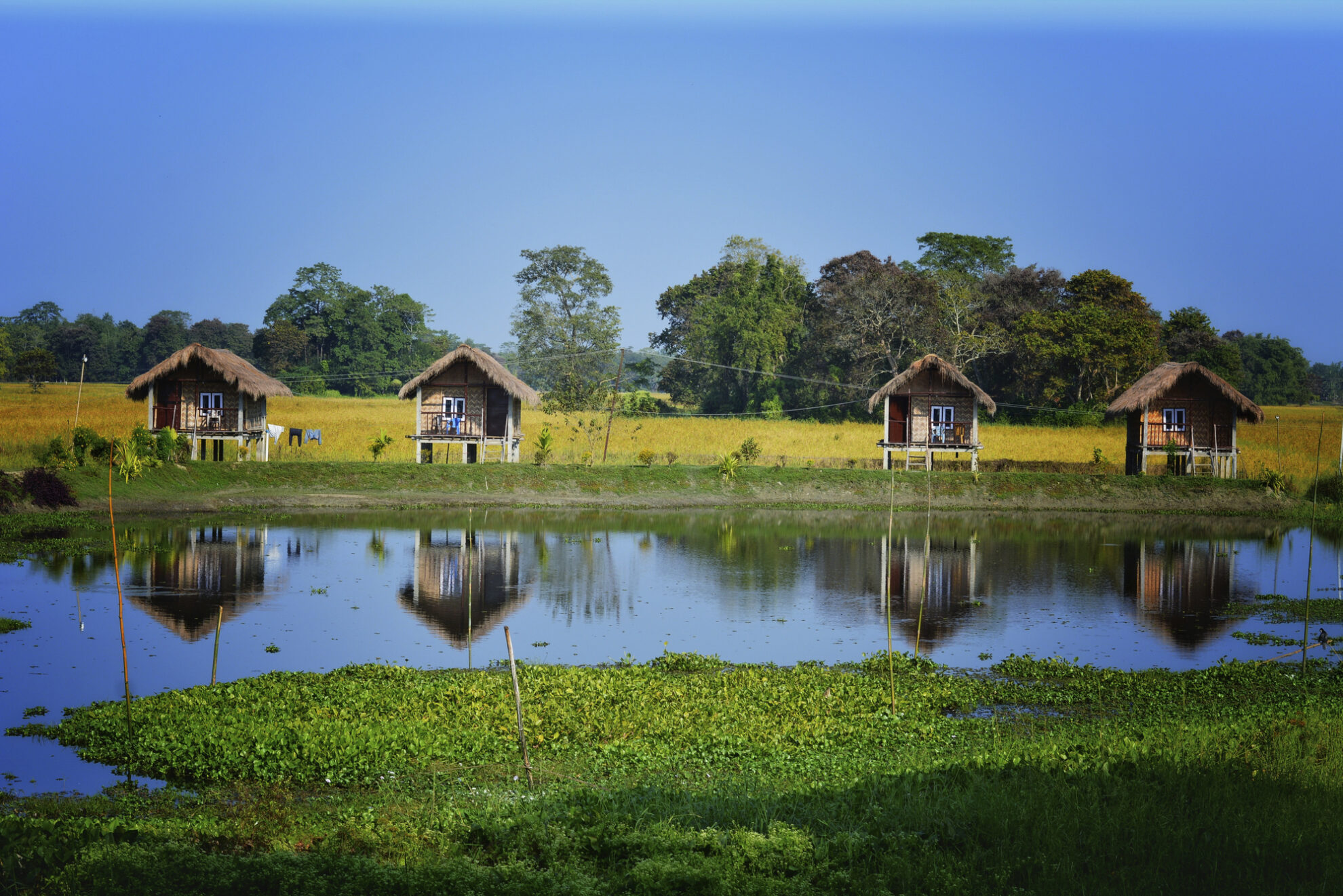 Bambushütten am Brahmaputra Fluss auf Majuli, Indien