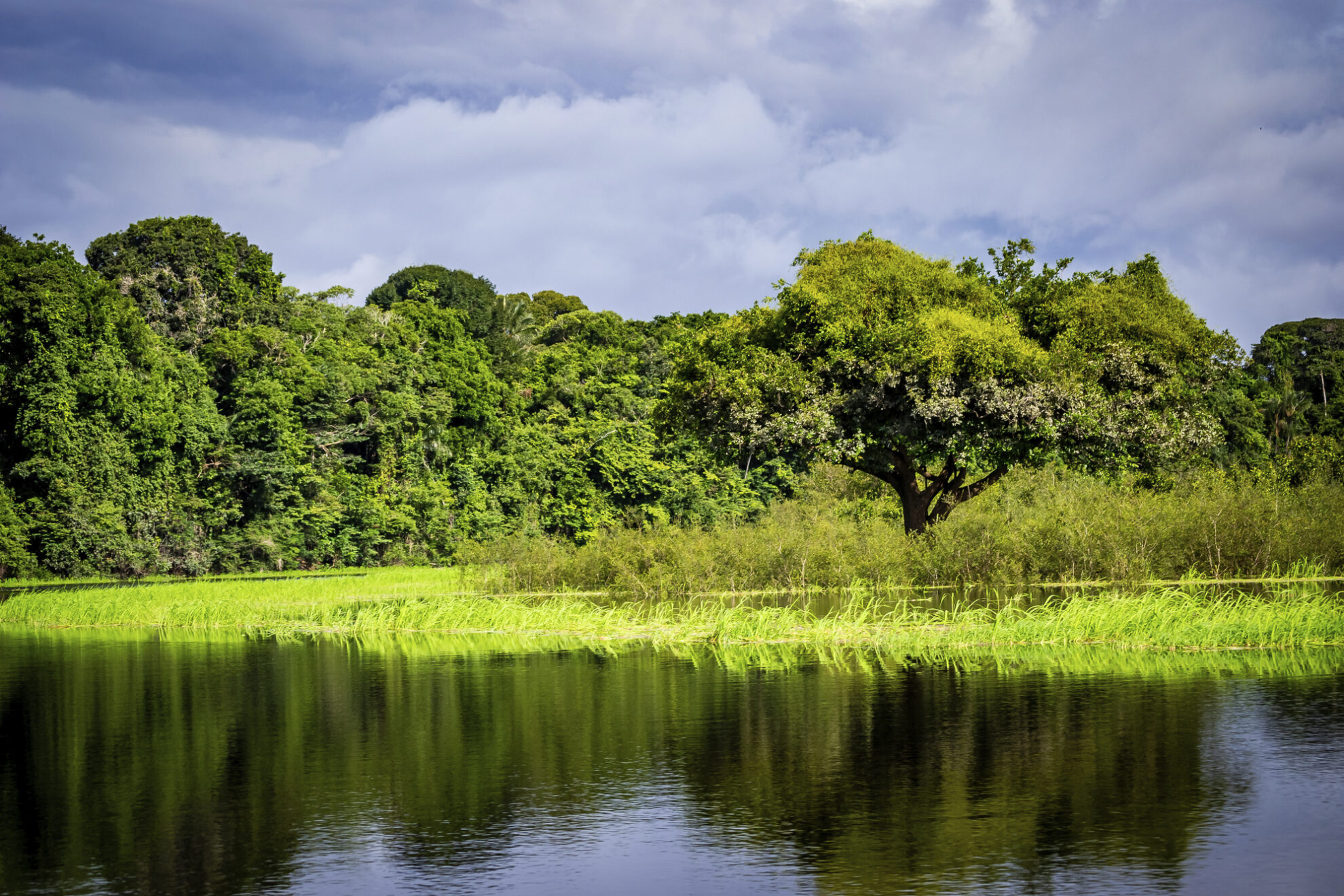 Anavilhanas National Park, Brasilien