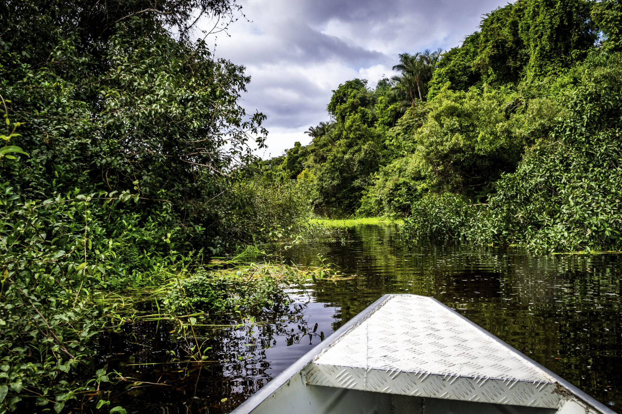 Anavilhanas National Park, Brasilien