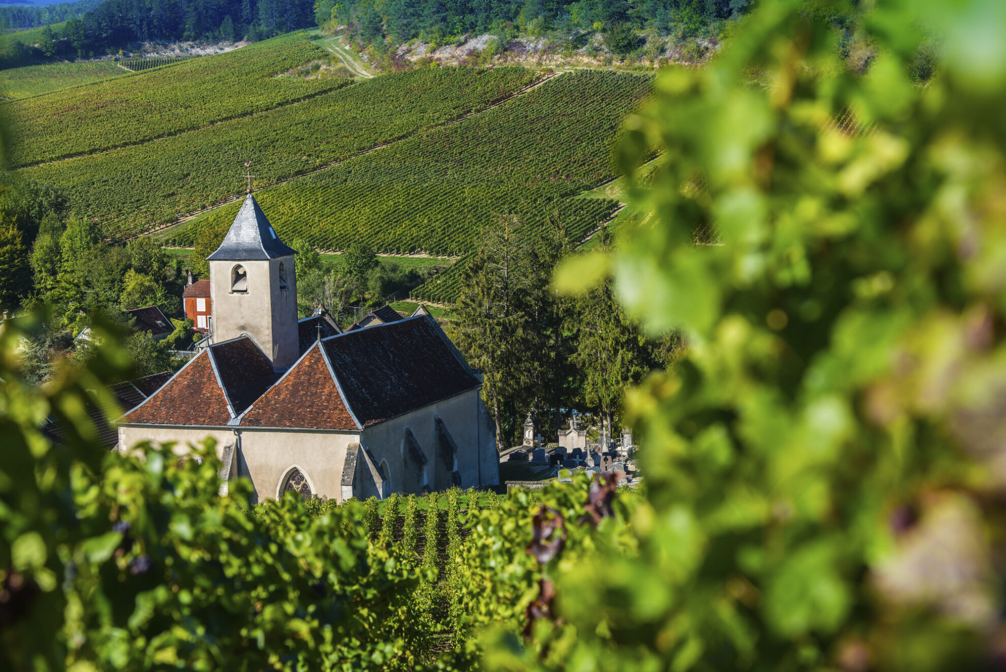 Viviers, Frankreich