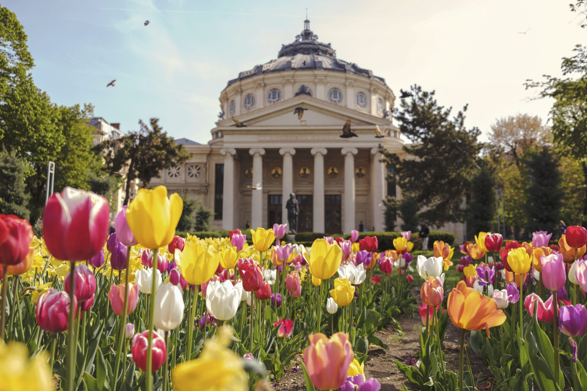 Bukarest, Rumänien