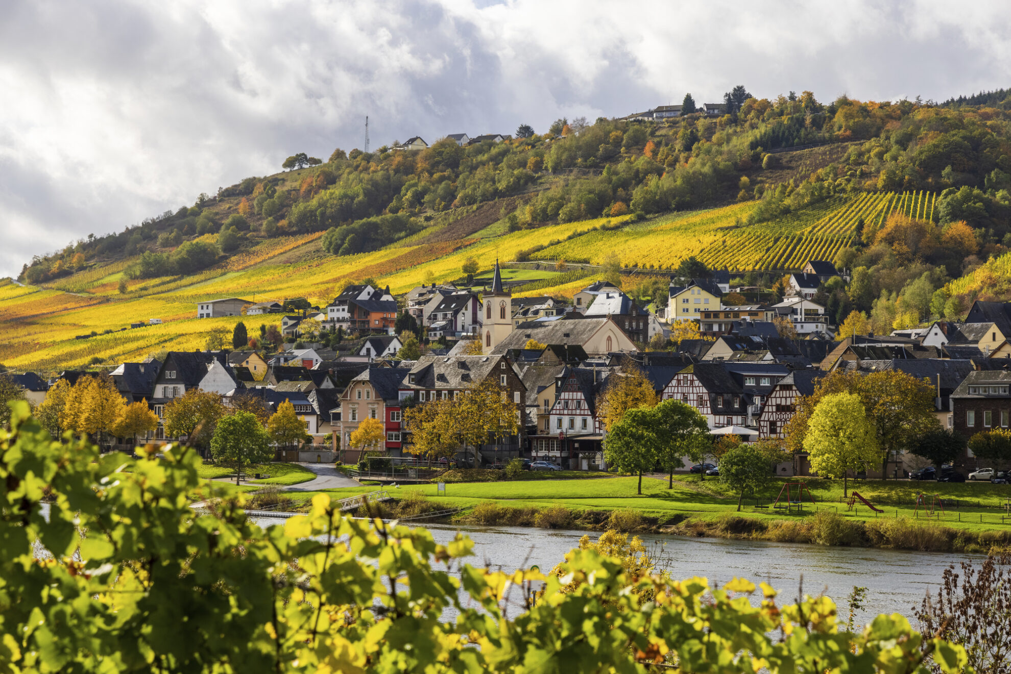 Mosellandschaft