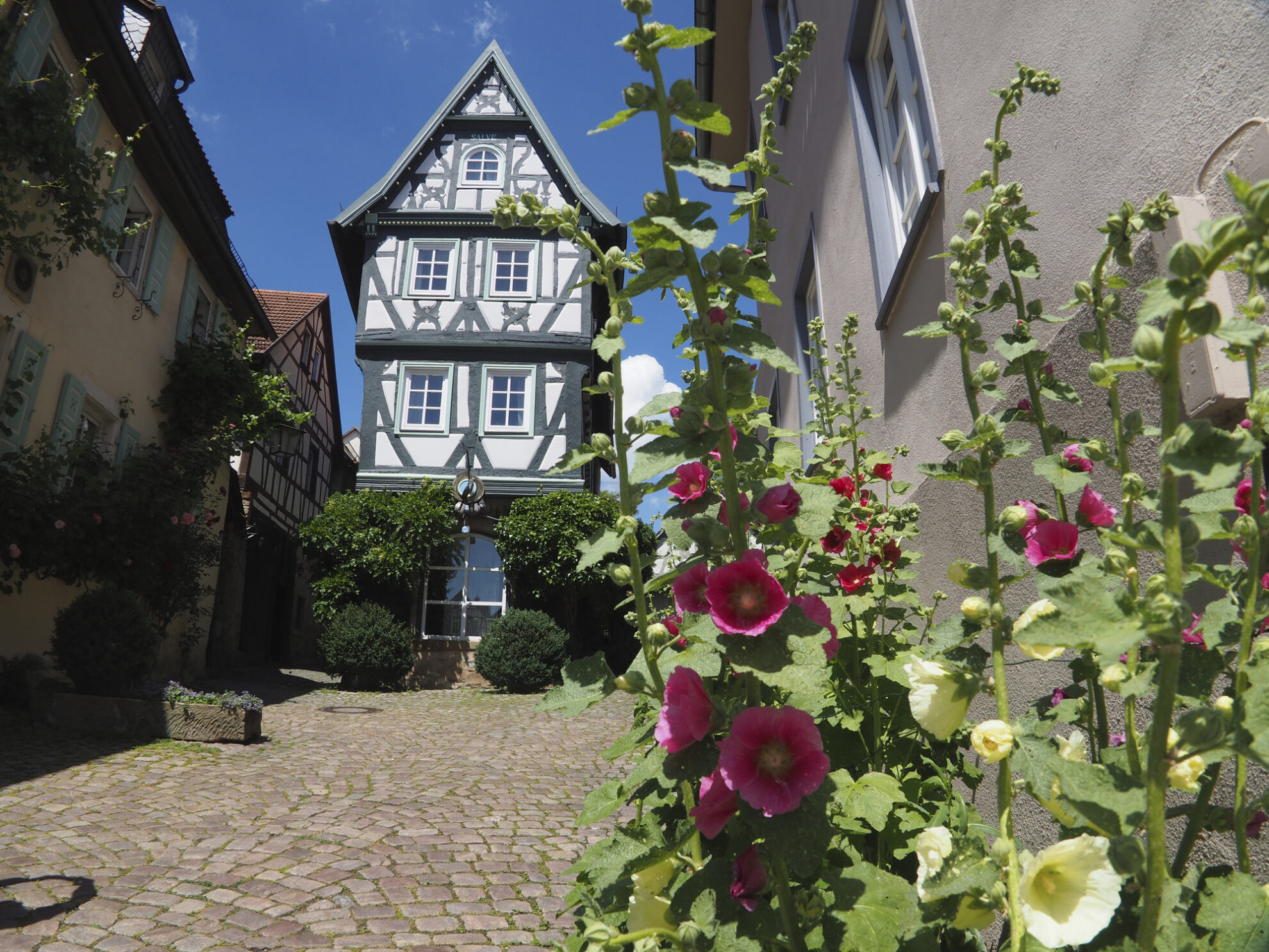 Bad Wimpfen