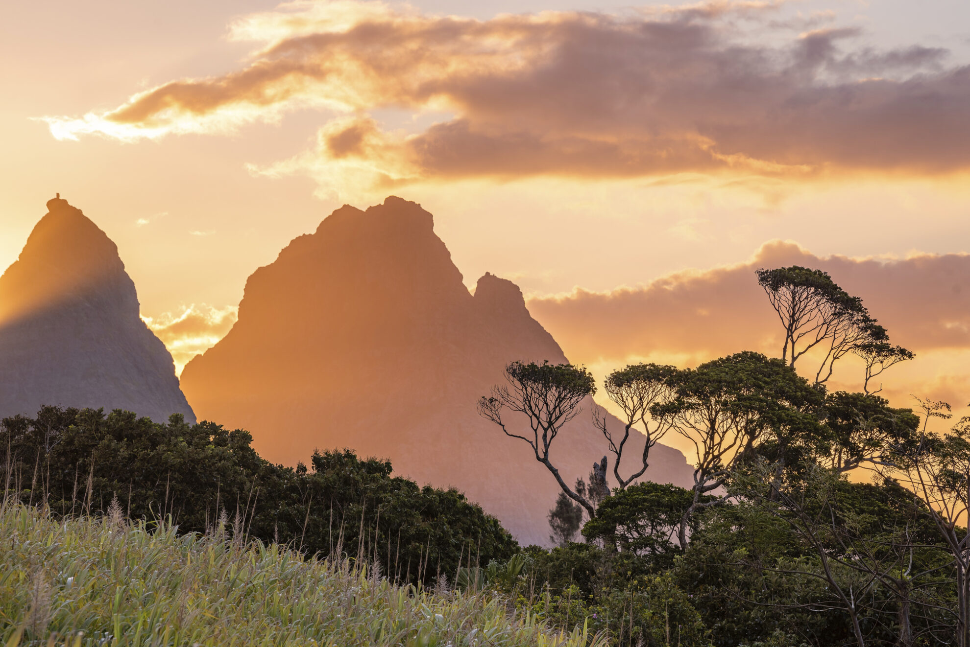 Landschaft Mauritius Süd