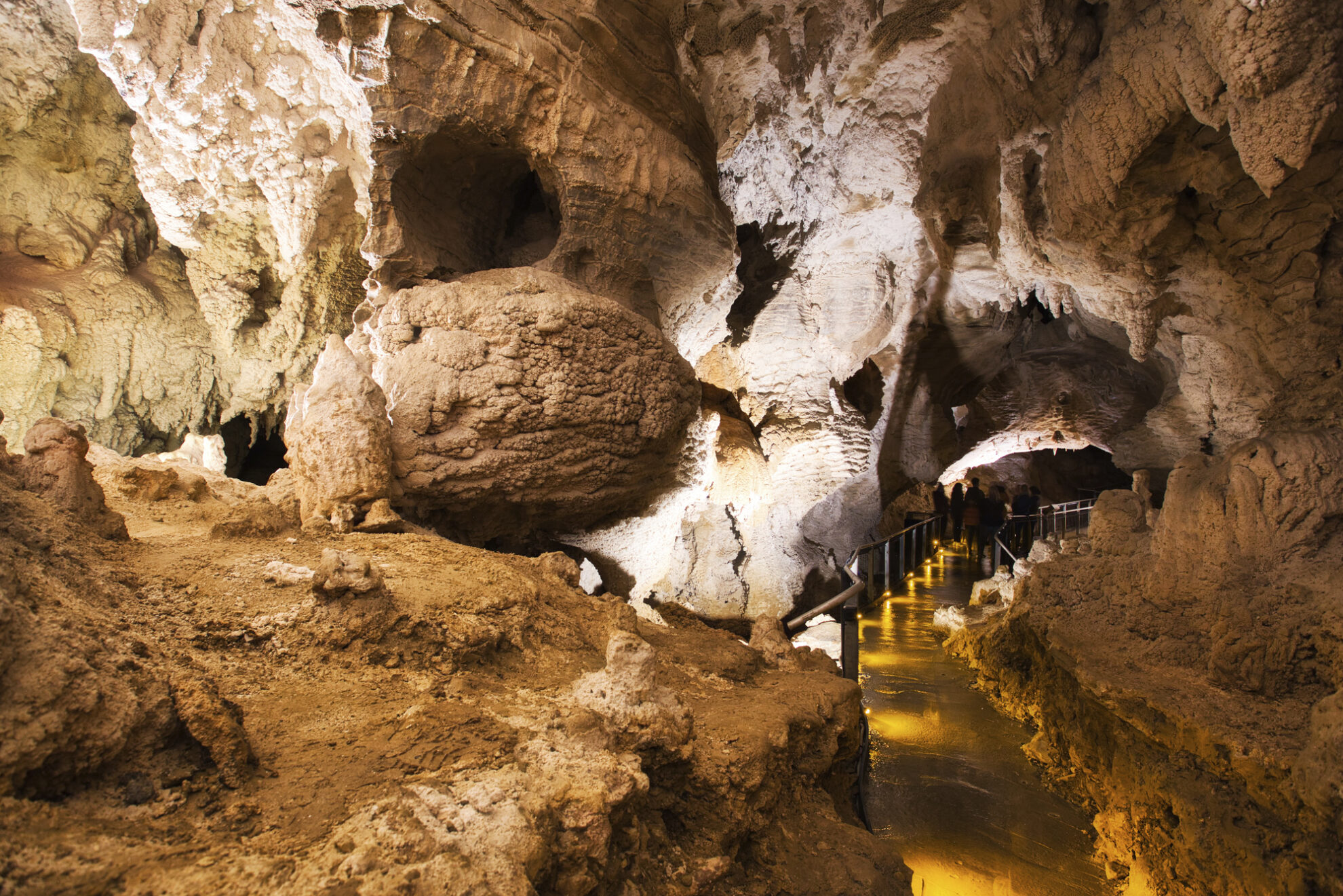 Waitomo, Glühwürmchen Grotte