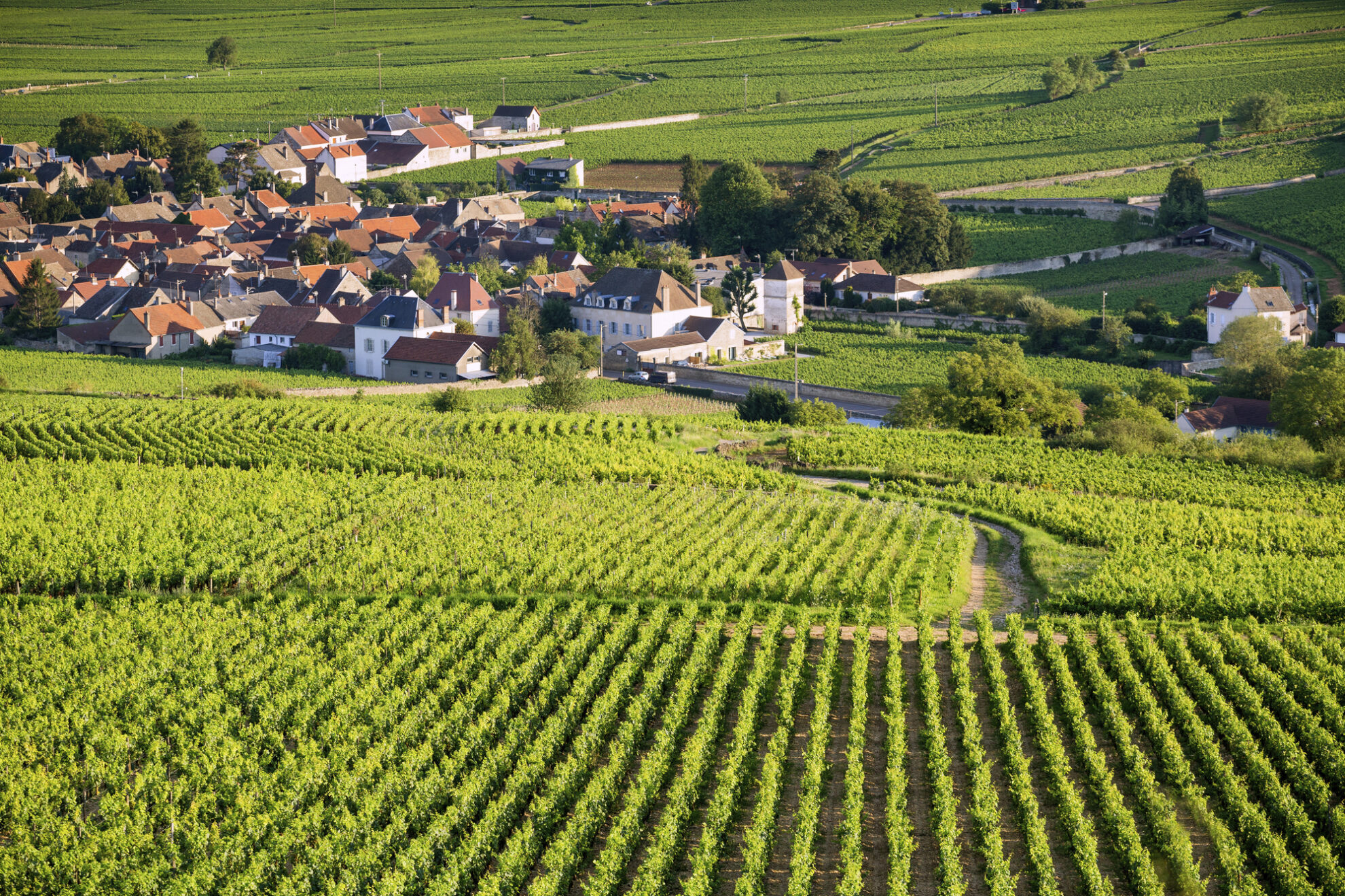 Beaune, Frankreich