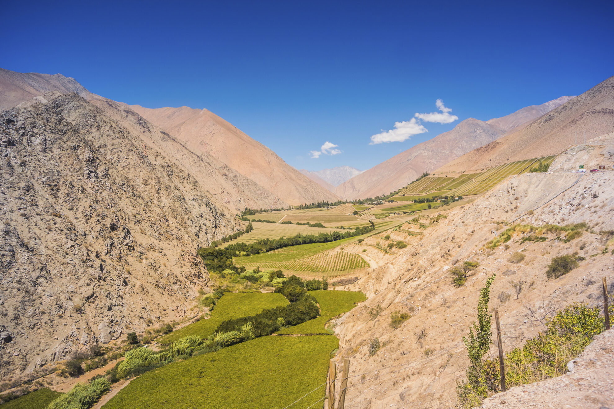 Elqui Tal
