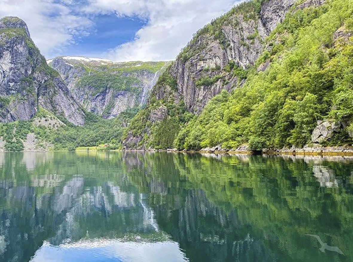 Vik, Ausflug RIB Boot